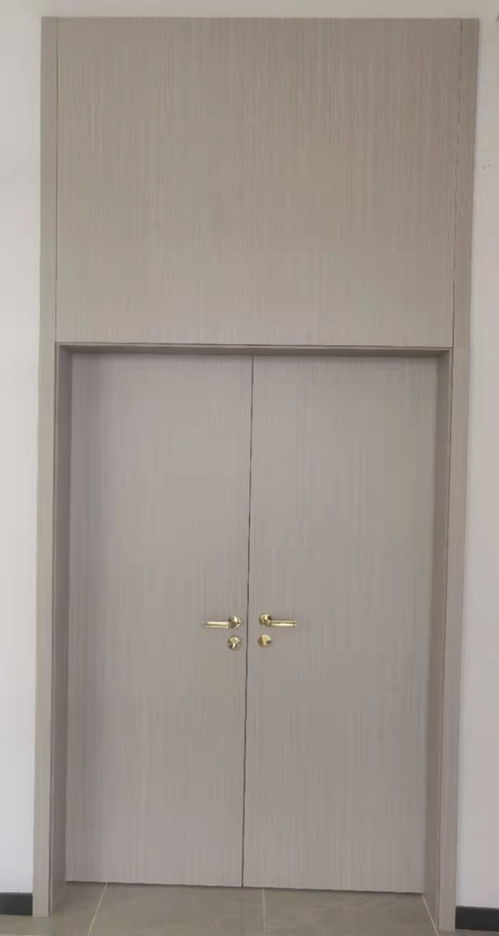 双开木门学校门 中天达门业